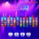 Bang Beach 22000 Puffs Original LED Display Edition Disposable Vape Pen