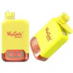 vapsolo Twins 20K puffs disposable vape